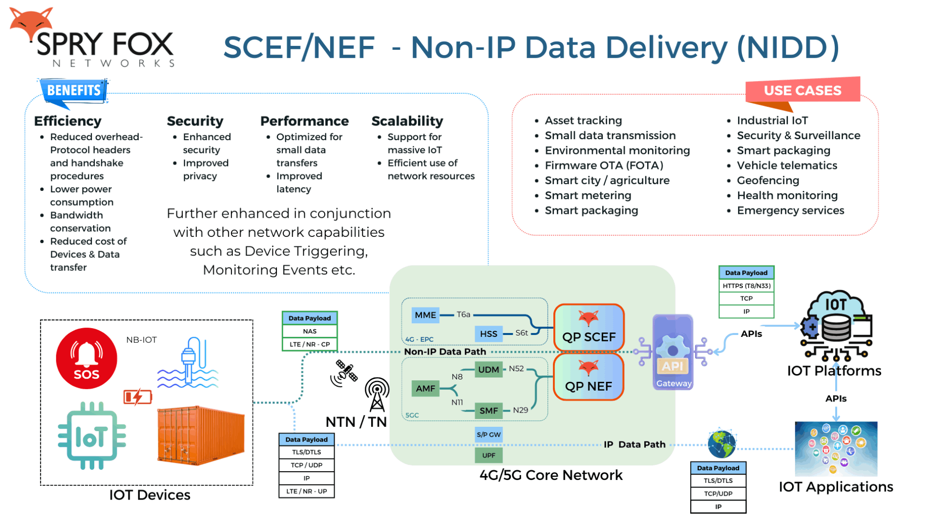 QP NEF SCEF NIDD
